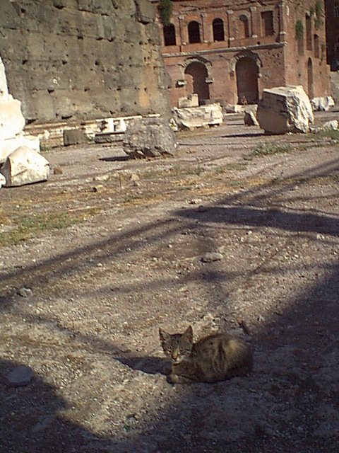 Forum of Trajan - 2000-09-01-164946