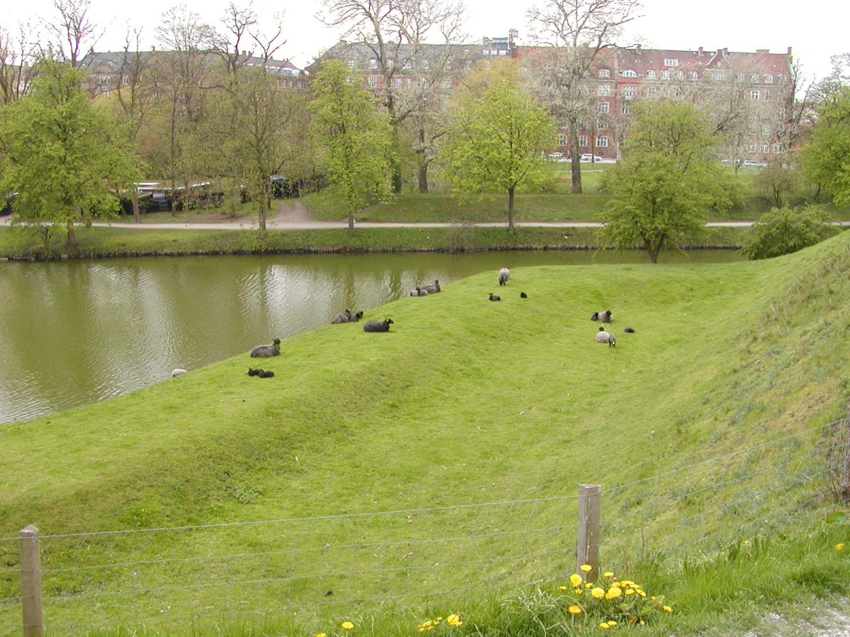 Copenhagen - 2002-04-30-140101