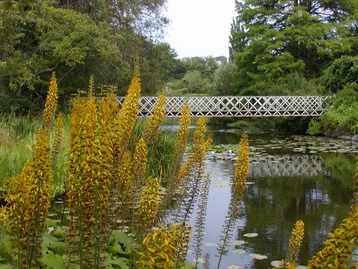 Botanic Garden - 2002-07-30-141932