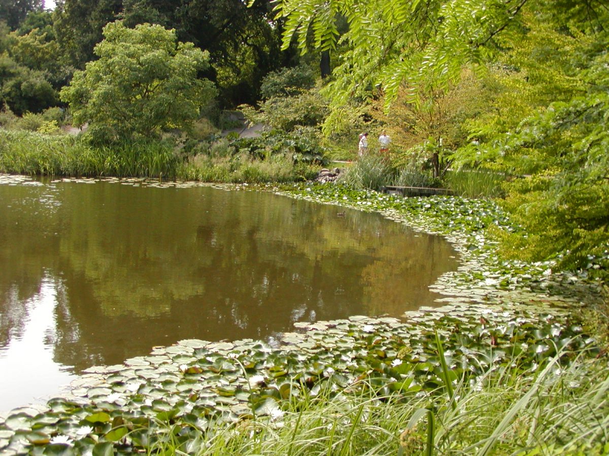Botanic Garden - 2002-07-30-142920