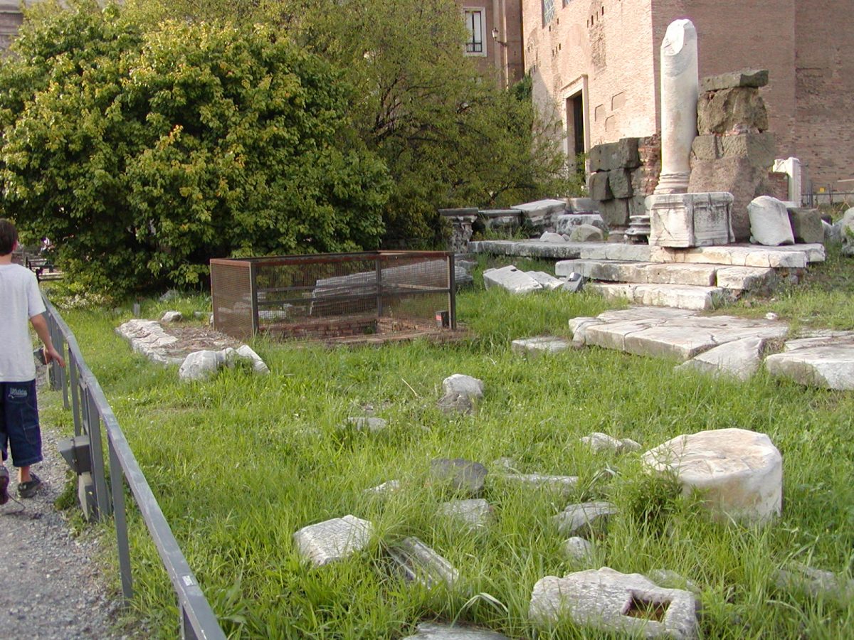 Forum Romanum - 2002-09-04-172612